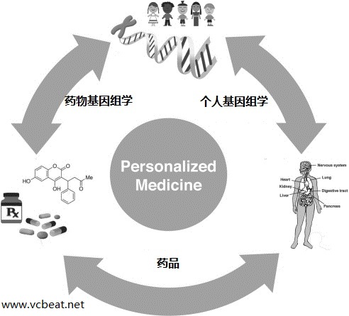 Personalized_Medicine_Wheel